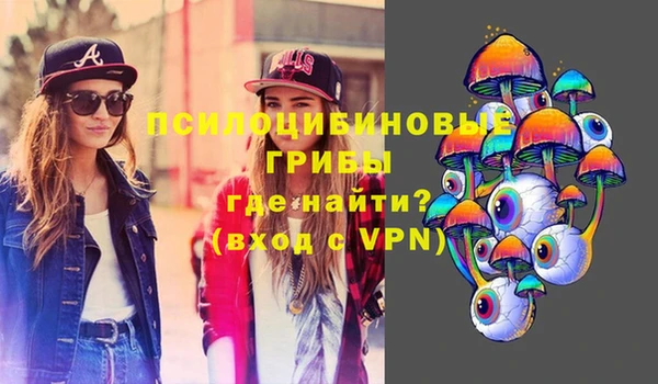 соль курить ск Яровое