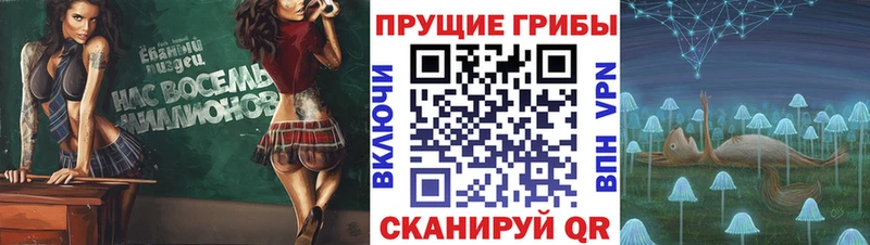 Псилоцибиновые грибы MAGIC MUSHROOMS  Купить закладки  Давлеканово 